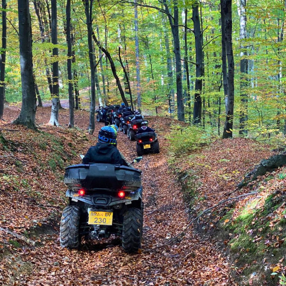 AFM Tour Group - Tururi ghidate cu ATV-ul Bran-galerie foto_24